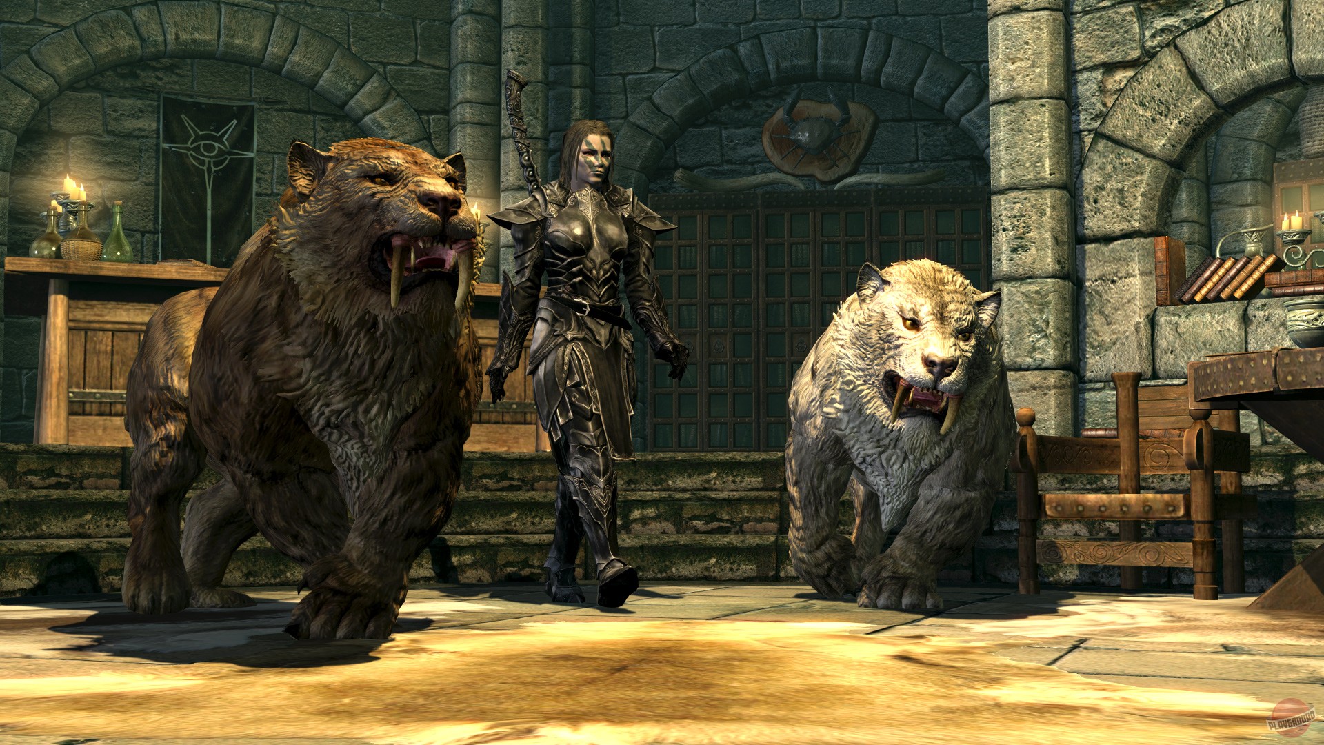 Скриншот из игры The Elder Scrolls 5: Skyrim - 167