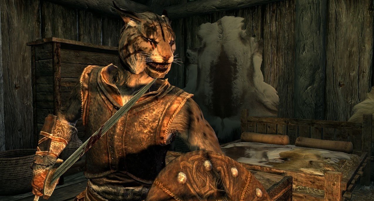 Скриншот из игры The Elder Scrolls 5: Skyrim - 16
