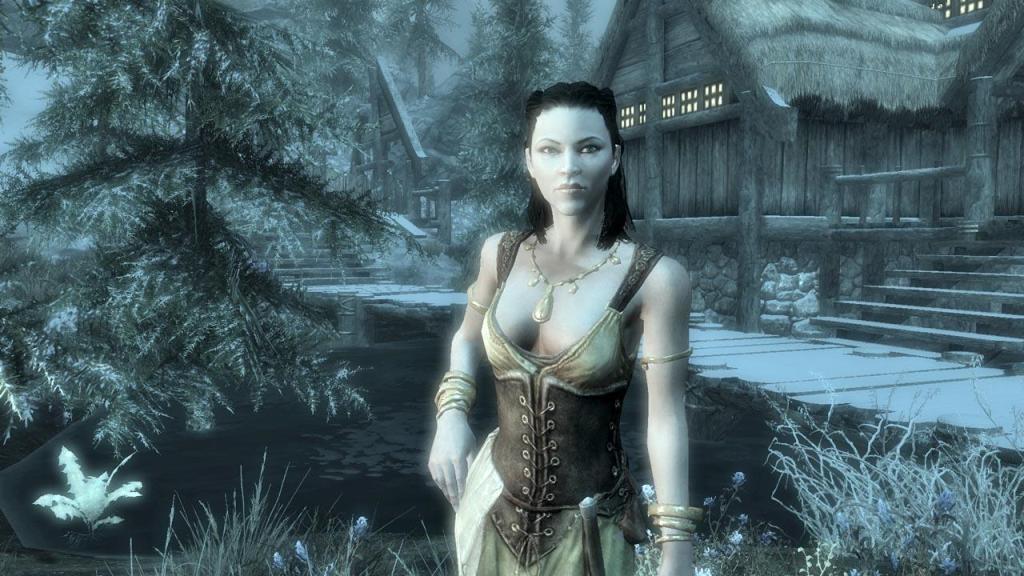 Скриншот из игры The Elder Scrolls 5: Skyrim - 21