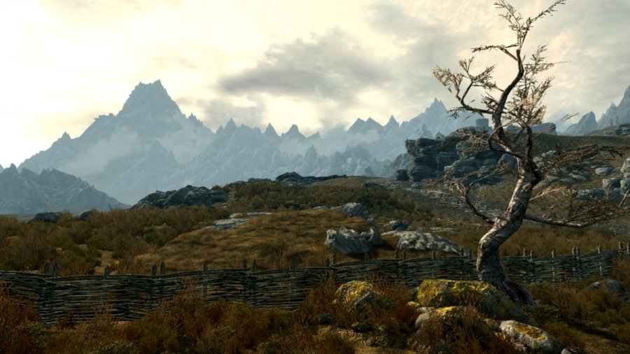 Скриншот из игры The Elder Scrolls 5: Skyrim - 35