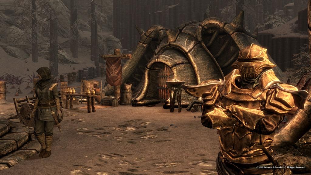 Скриншот из игры The Elder Scrolls 5: Skyrim - 38