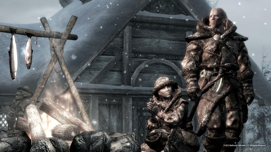 Скриншот из игры The Elder Scrolls 5: Skyrim - 40