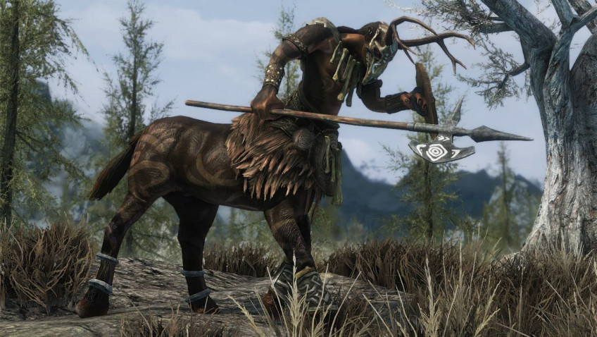 Скриншот из игры The Elder Scrolls 5: Skyrim - 49