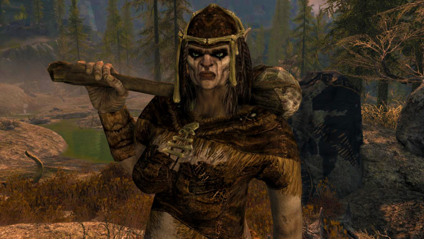 Скриншот из игры The Elder Scrolls 5: Skyrim - 51
