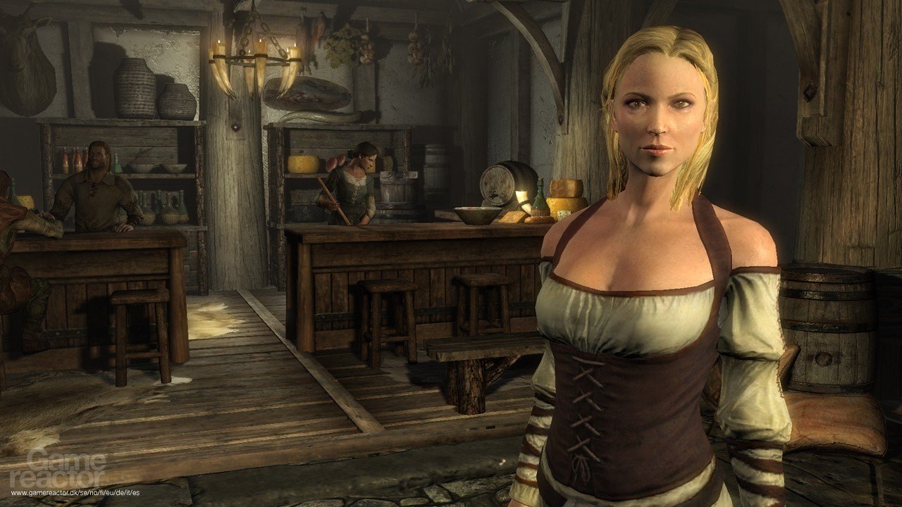 Скриншот из игры The Elder Scrolls 5: Skyrim - 73