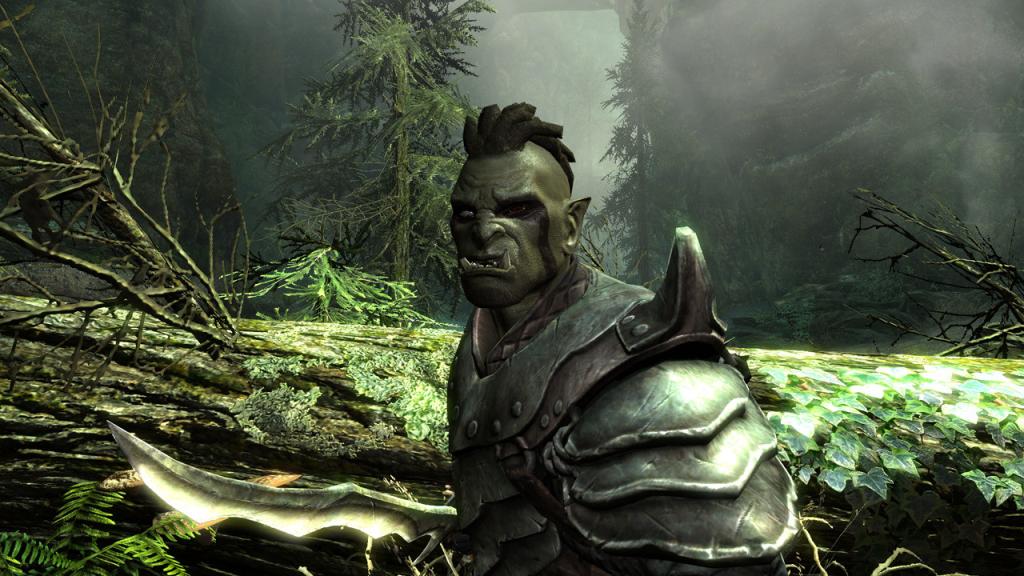 Скриншот из игры The Elder Scrolls 5: Skyrim - 88