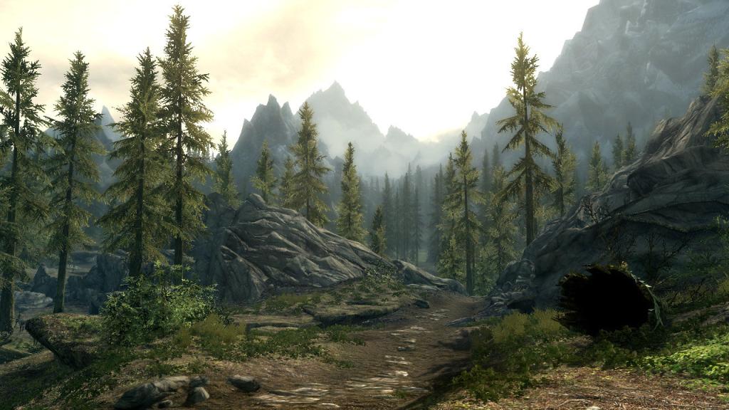 Скриншот из игры The Elder Scrolls 5: Skyrim - 90