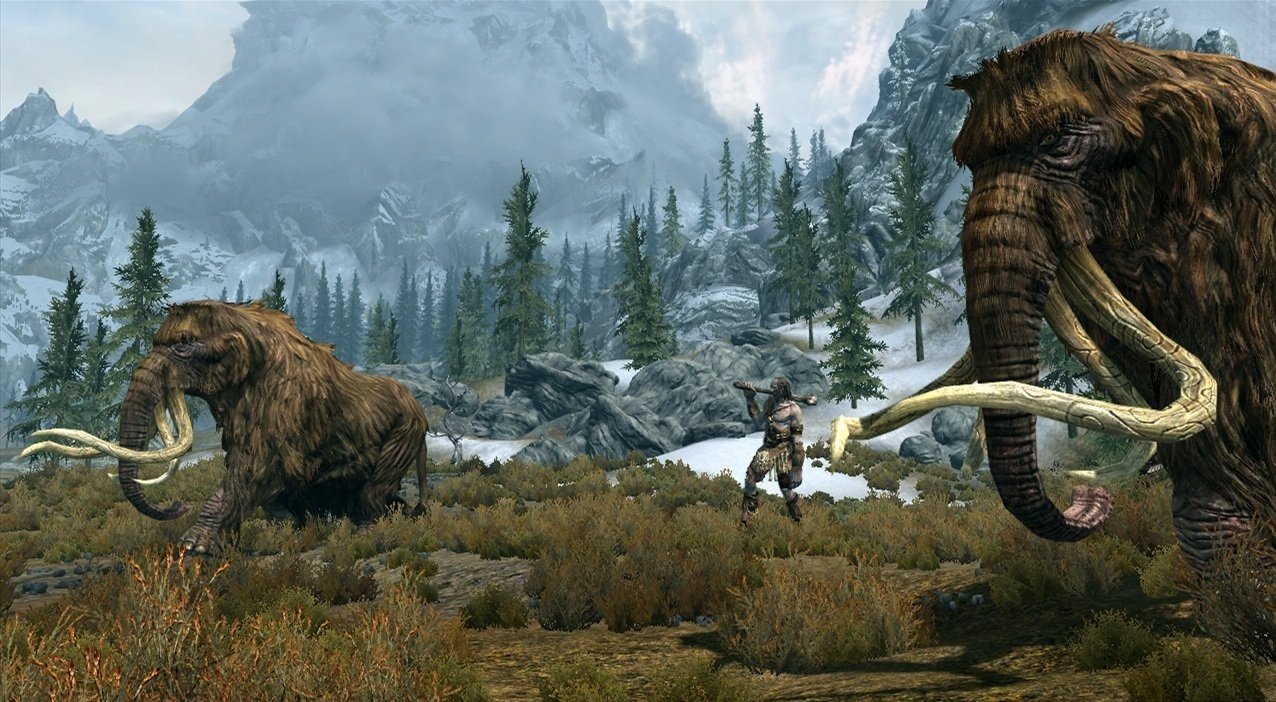 Скриншот из игры The Elder Scrolls 5: Skyrim - 96