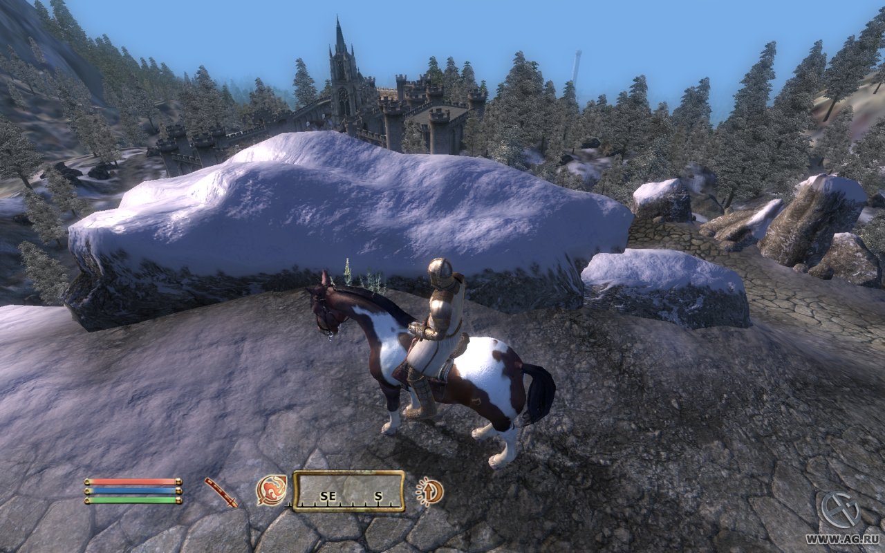 Скриншот из игры The Elder Scrolls IV: Oblivion - 191