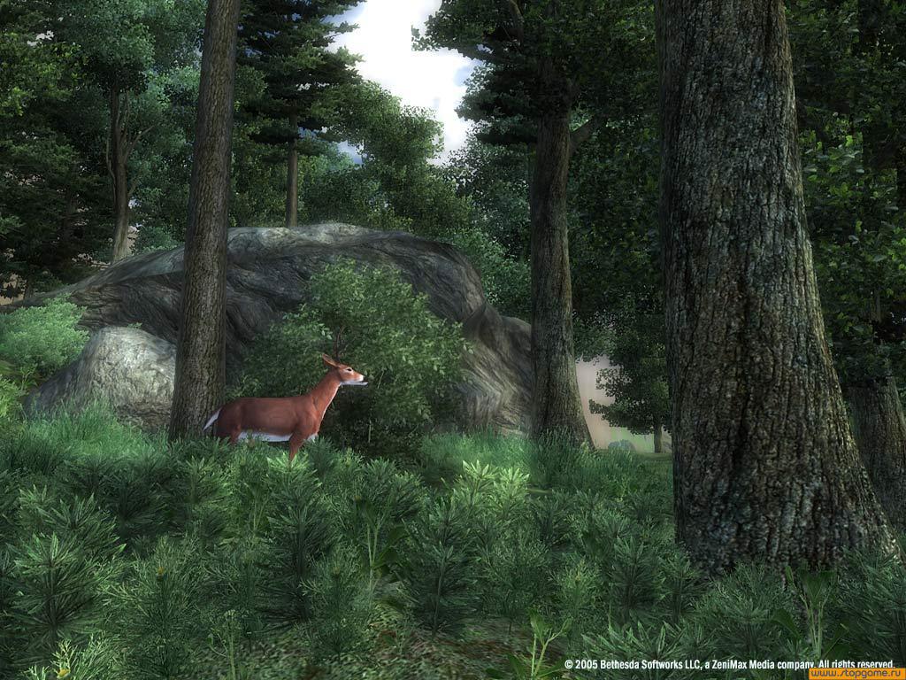 Скриншот из игры The Elder Scrolls IV: Oblivion - 48
