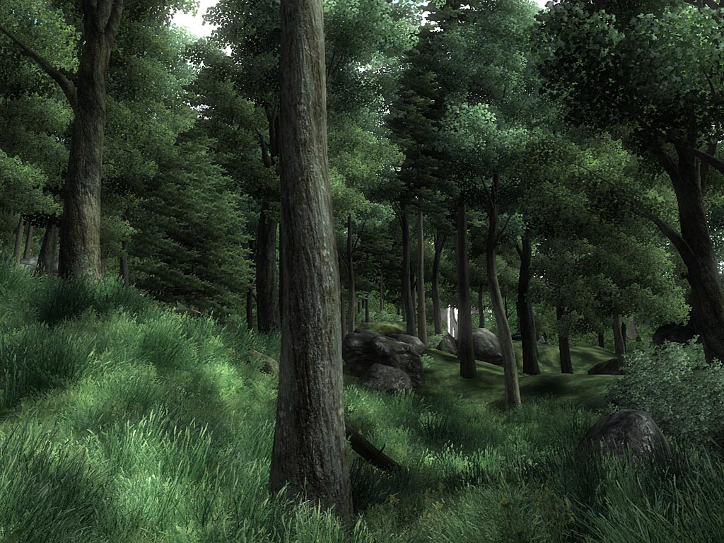 Скриншот из игры The Elder Scrolls IV: Oblivion - 172