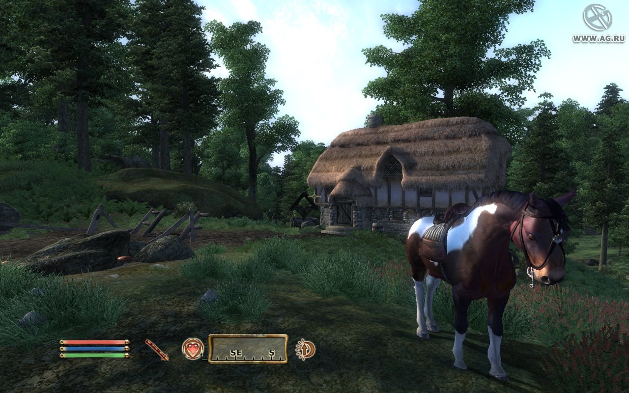 Скриншот из игры The Elder Scrolls IV: Oblivion - 187