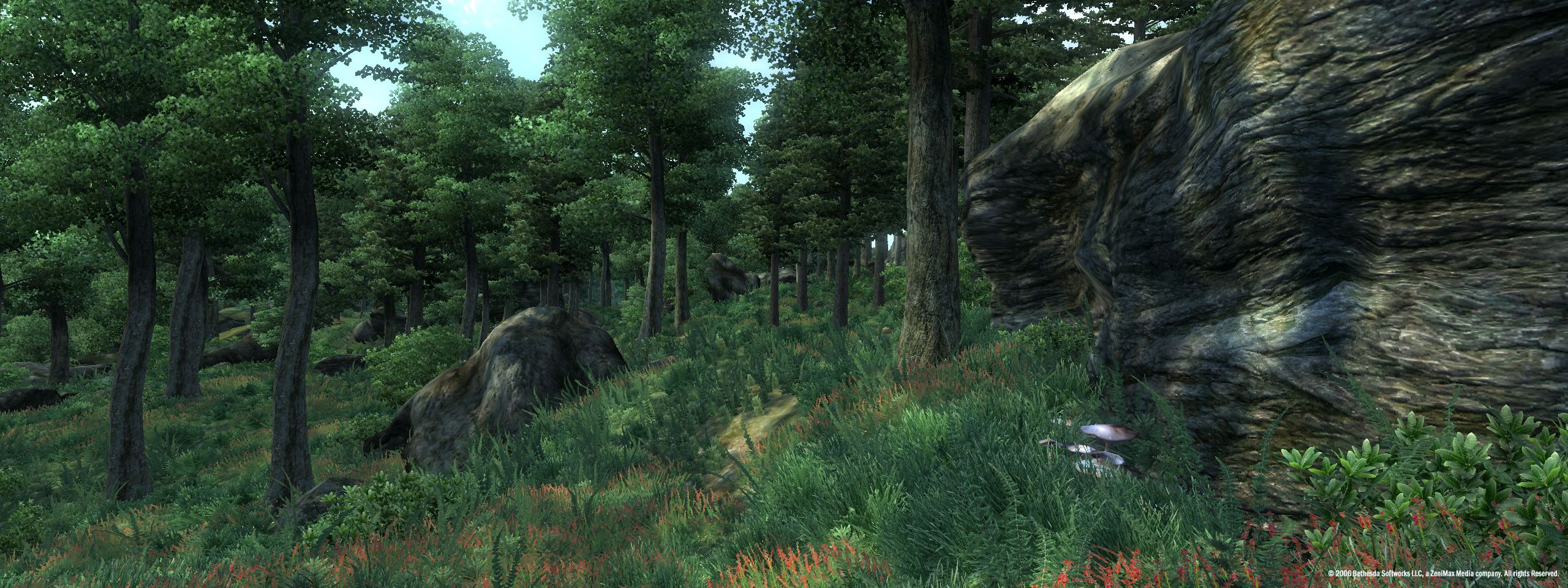 Скриншот из игры The Elder Scrolls IV: Oblivion - 24