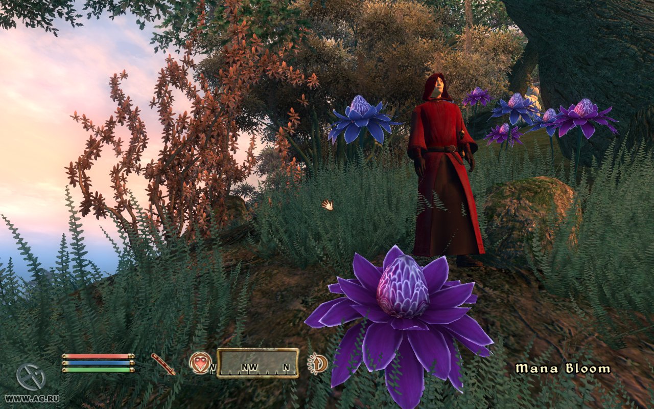 Скриншот из игры The Elder Scrolls IV: Oblivion - 141