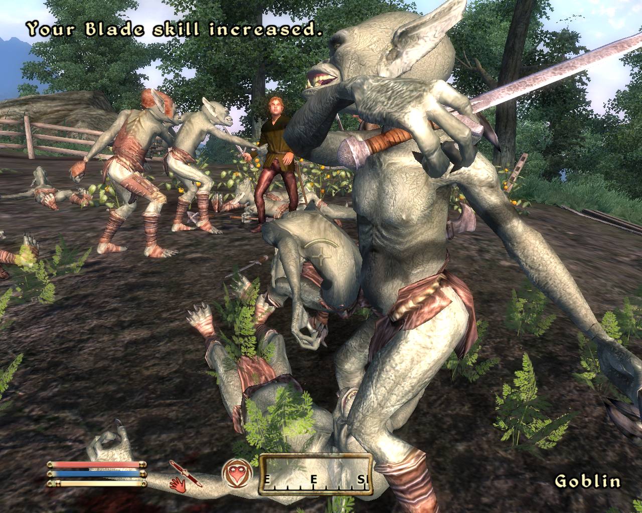 Скриншот из игры The Elder Scrolls IV: Oblivion - 38