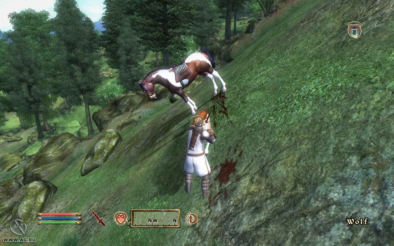 Скриншот из игры The Elder Scrolls IV: Oblivion - 133