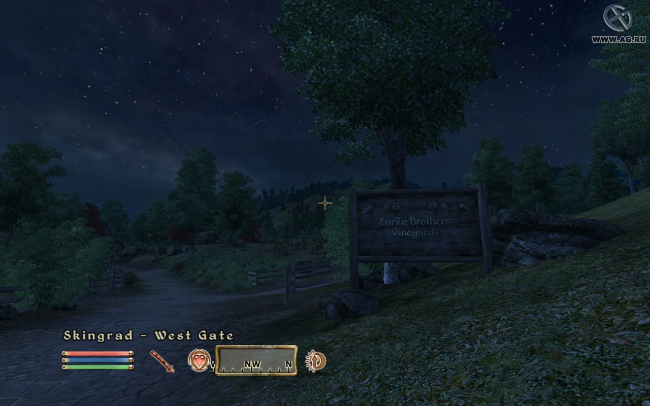 Скриншот из игры The Elder Scrolls IV: Oblivion - 61