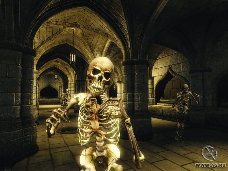 Скриншот из игры The Elder Scrolls IV: Oblivion - 139
