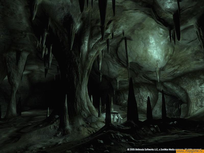 Скриншот из игры The Elder Scrolls IV: Oblivion - 42