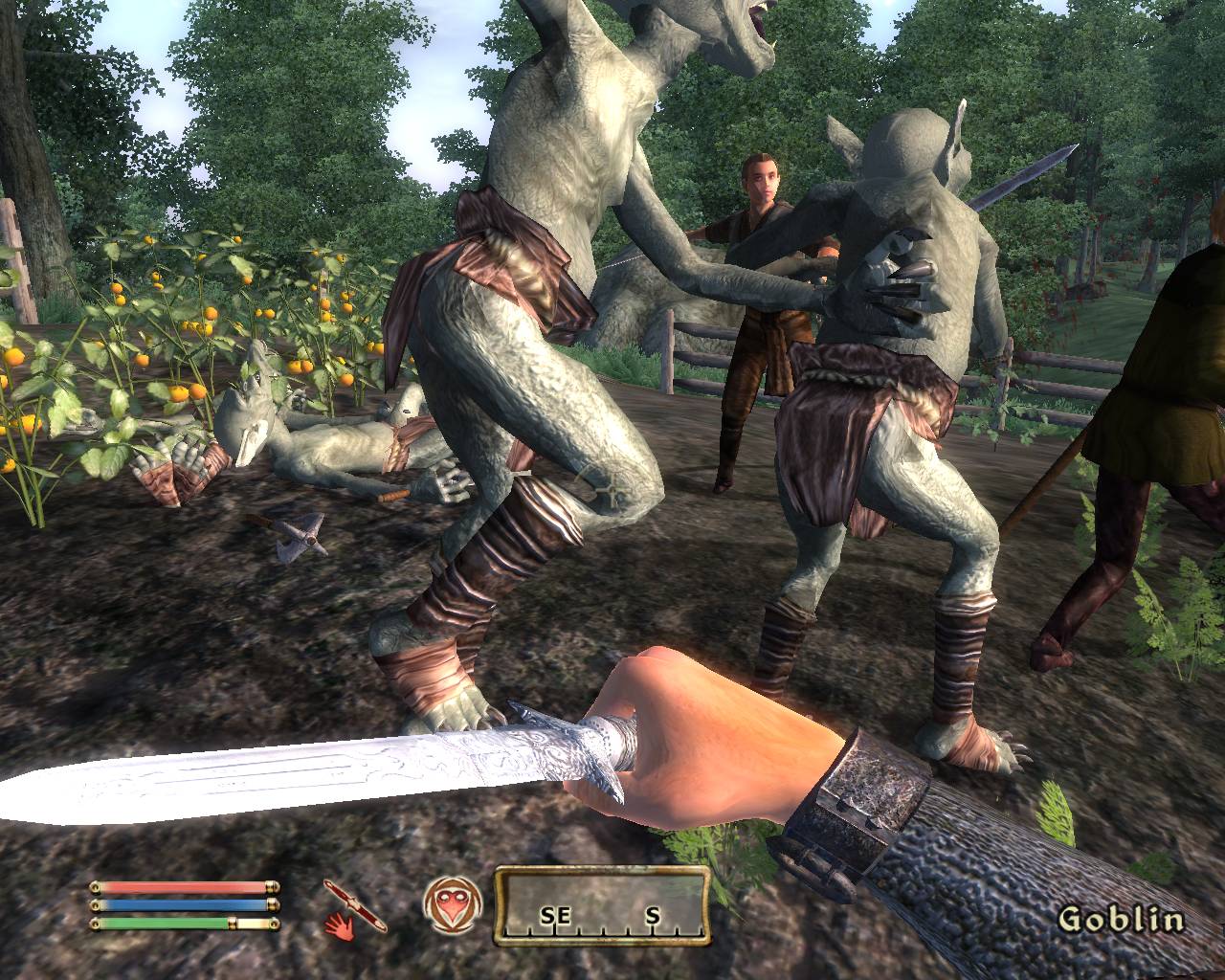 Скриншот из игры The Elder Scrolls IV: Oblivion - 77