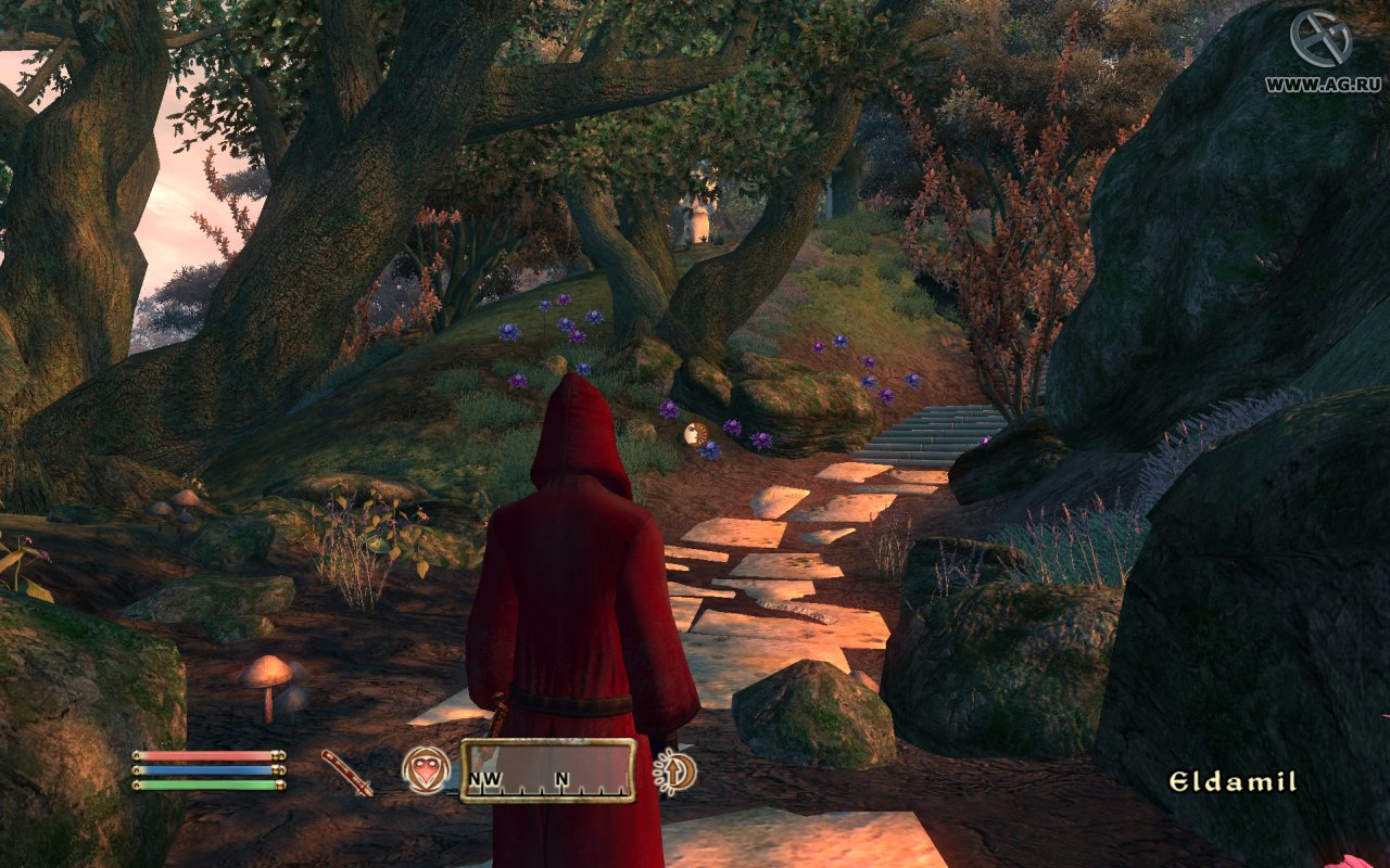 Скриншот из игры The Elder Scrolls IV: Oblivion - 64