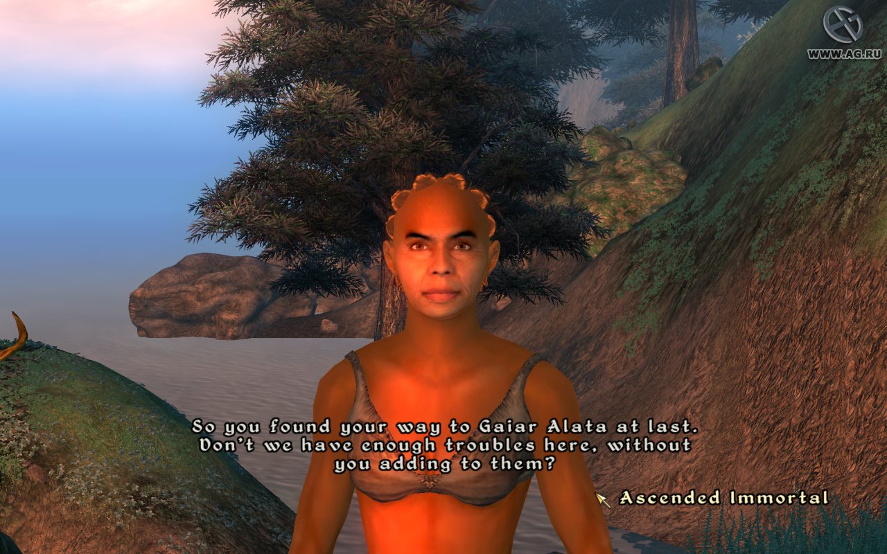 Скриншот из игры The Elder Scrolls IV: Oblivion - 143