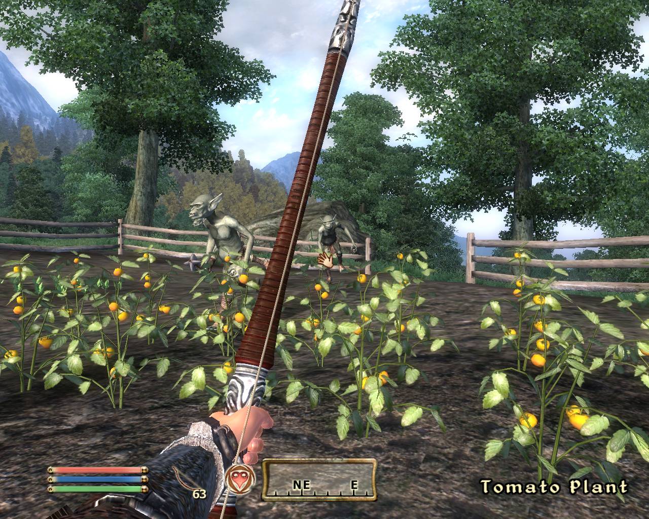 Скриншот из игры The Elder Scrolls IV: Oblivion - 96