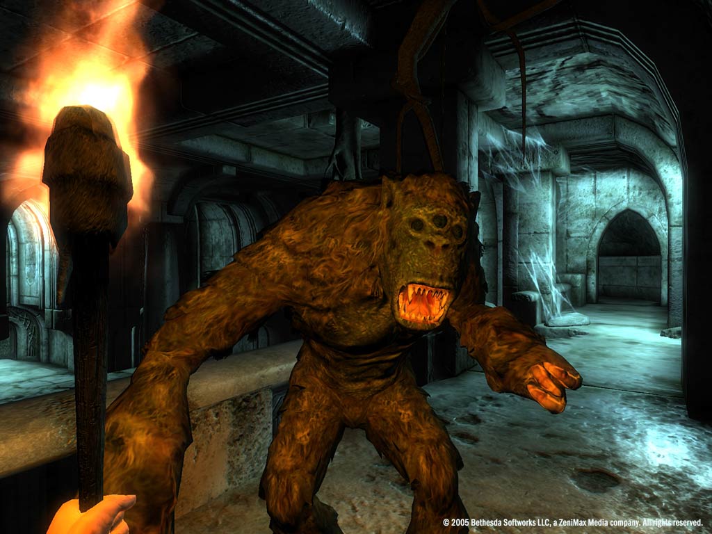 Скриншот из игры The Elder Scrolls IV: Oblivion - 160