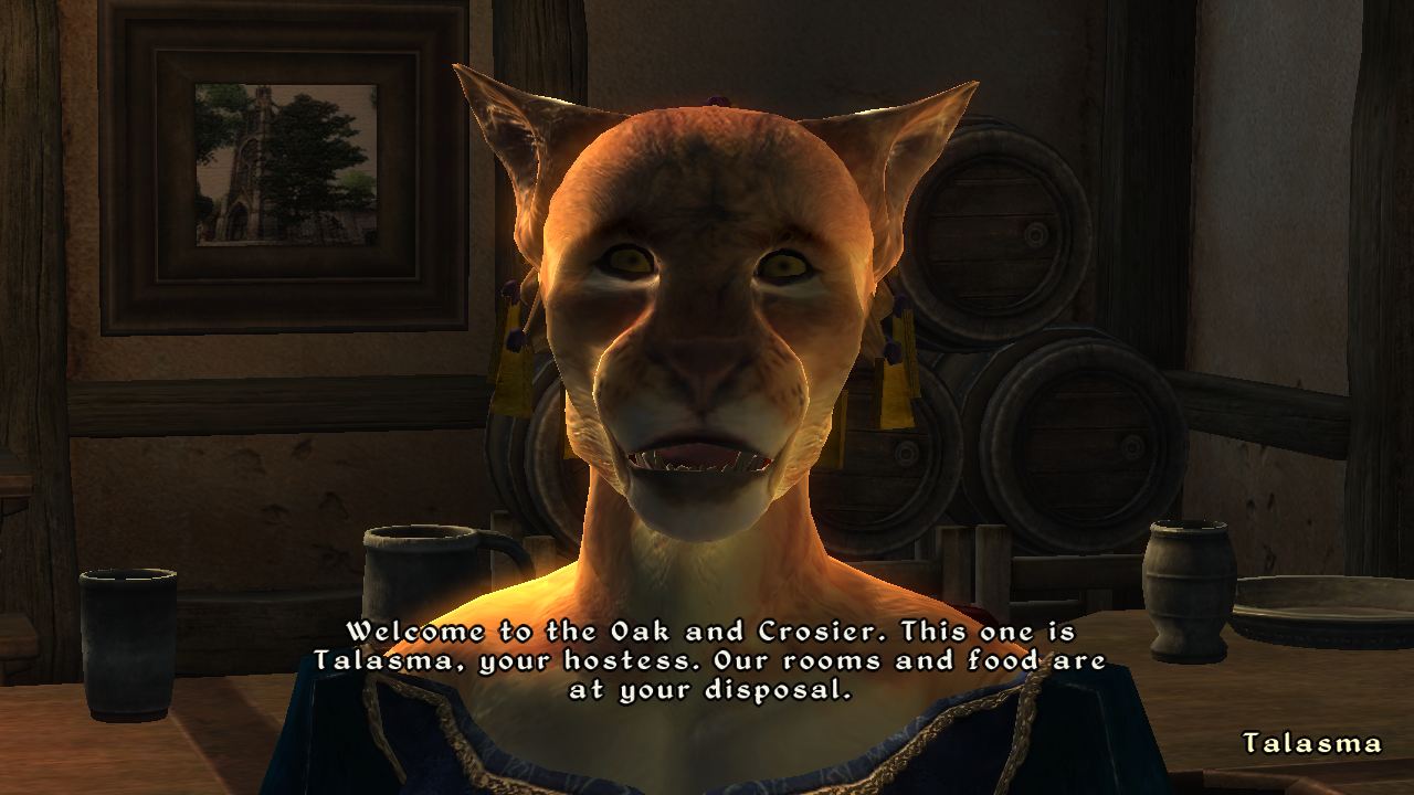 Скриншот из игры The Elder Scrolls IV: Oblivion - 107