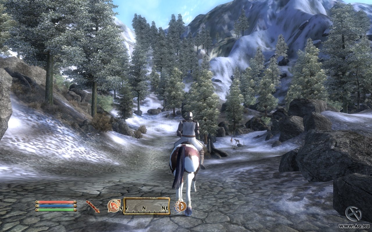 Скриншот из игры The Elder Scrolls IV: Oblivion - 58