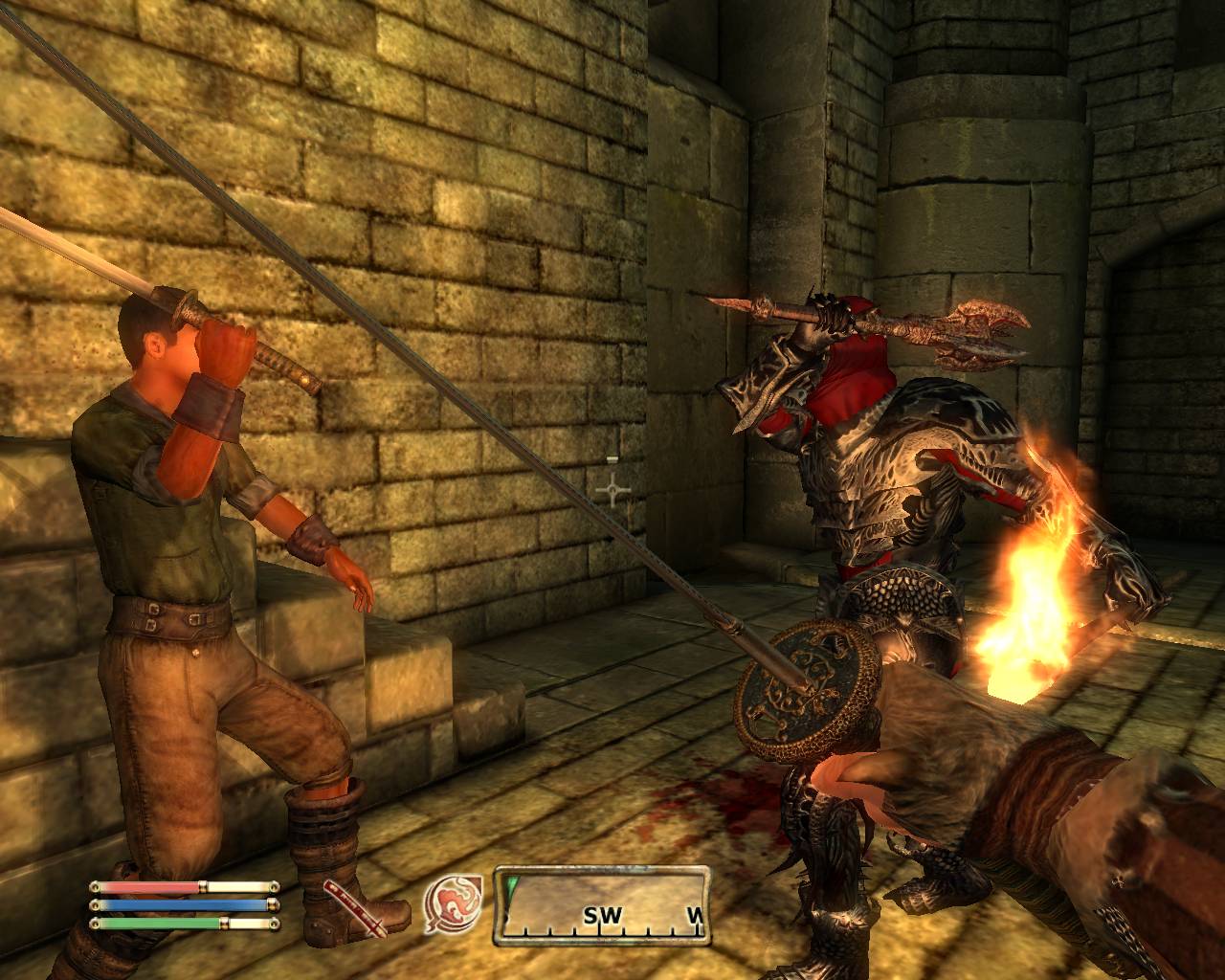 Скриншот из игры The Elder Scrolls IV: Oblivion - 194