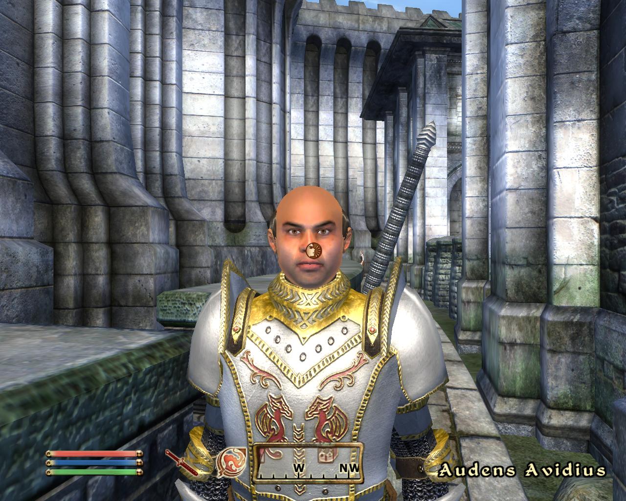 Скриншот из игры The Elder Scrolls IV: Oblivion - 158