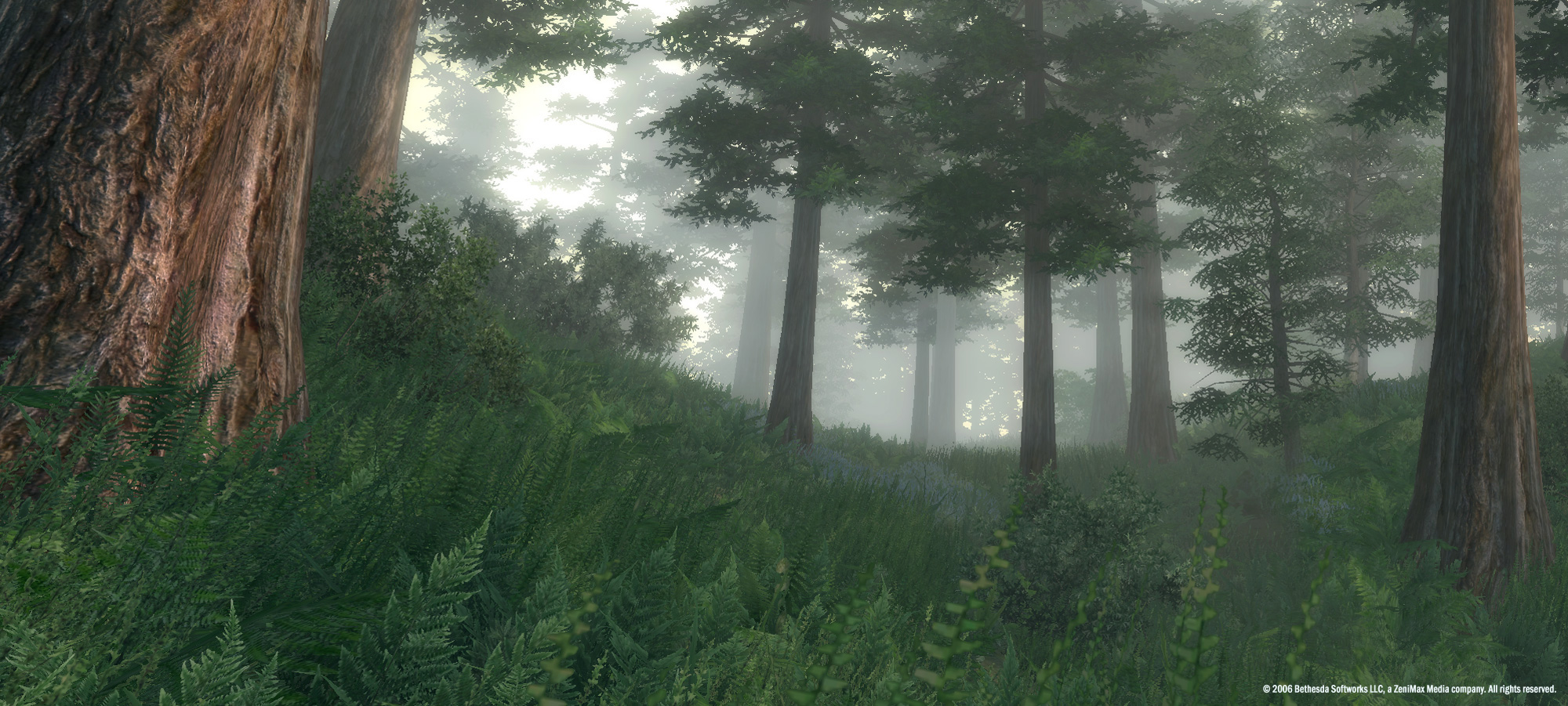 Скриншот из игры The Elder Scrolls IV: Oblivion - 71