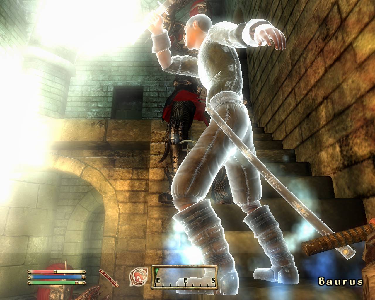 Скриншот из игры The Elder Scrolls IV: Oblivion - 200