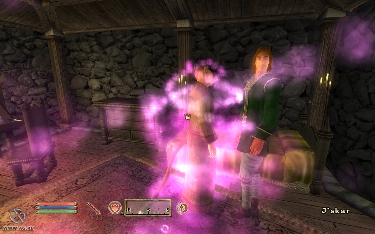 Скриншот из игры The Elder Scrolls IV: Oblivion - 157