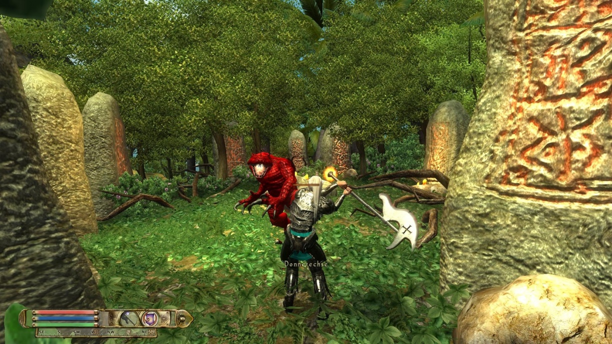 Скриншот из игры The Elder Scrolls IV: Oblivion - 4