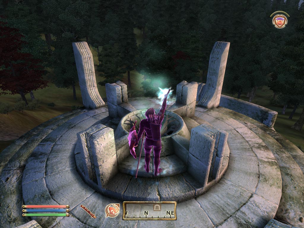 Скриншот из игры The Elder Scrolls IV: Oblivion - 9