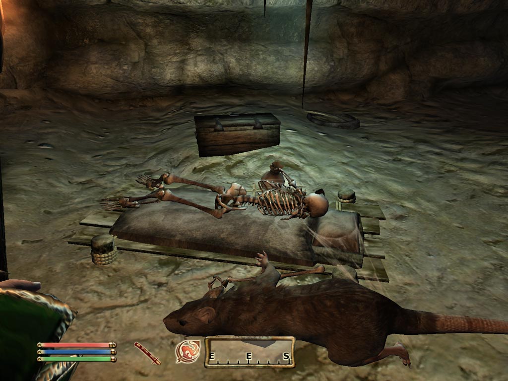 Скриншот из игры The Elder Scrolls IV: Oblivion - 10