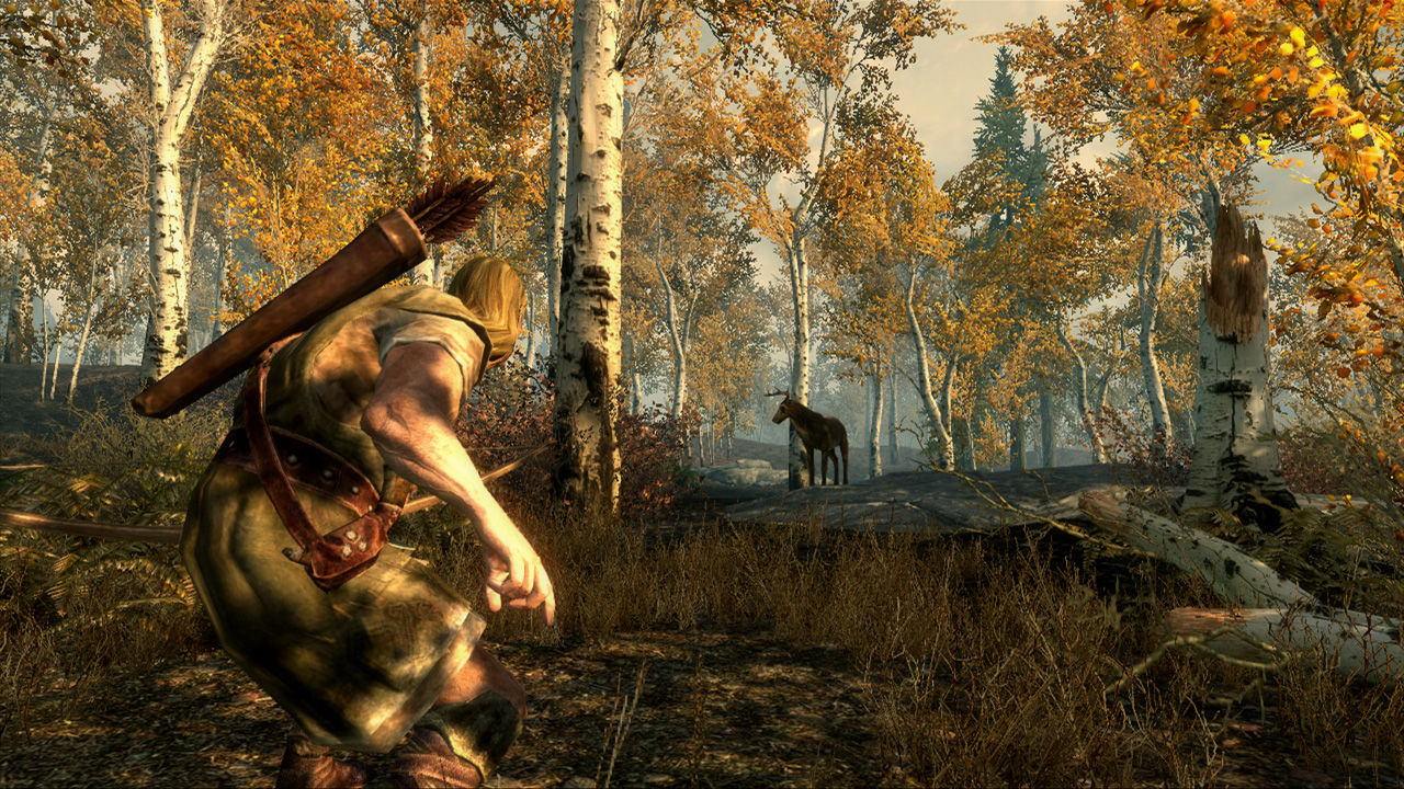 Скриншот из игры The Elder Scrolls V: Skyrim - 14
