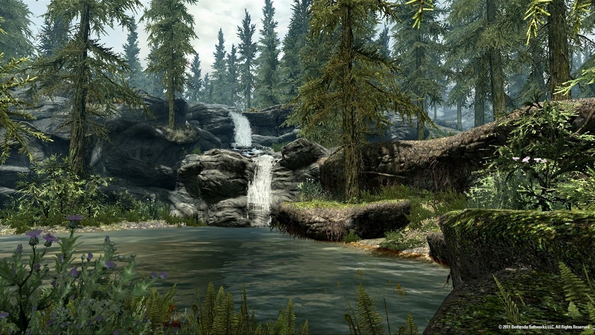 Скриншот из игры The Elder Scrolls V: Skyrim - 24