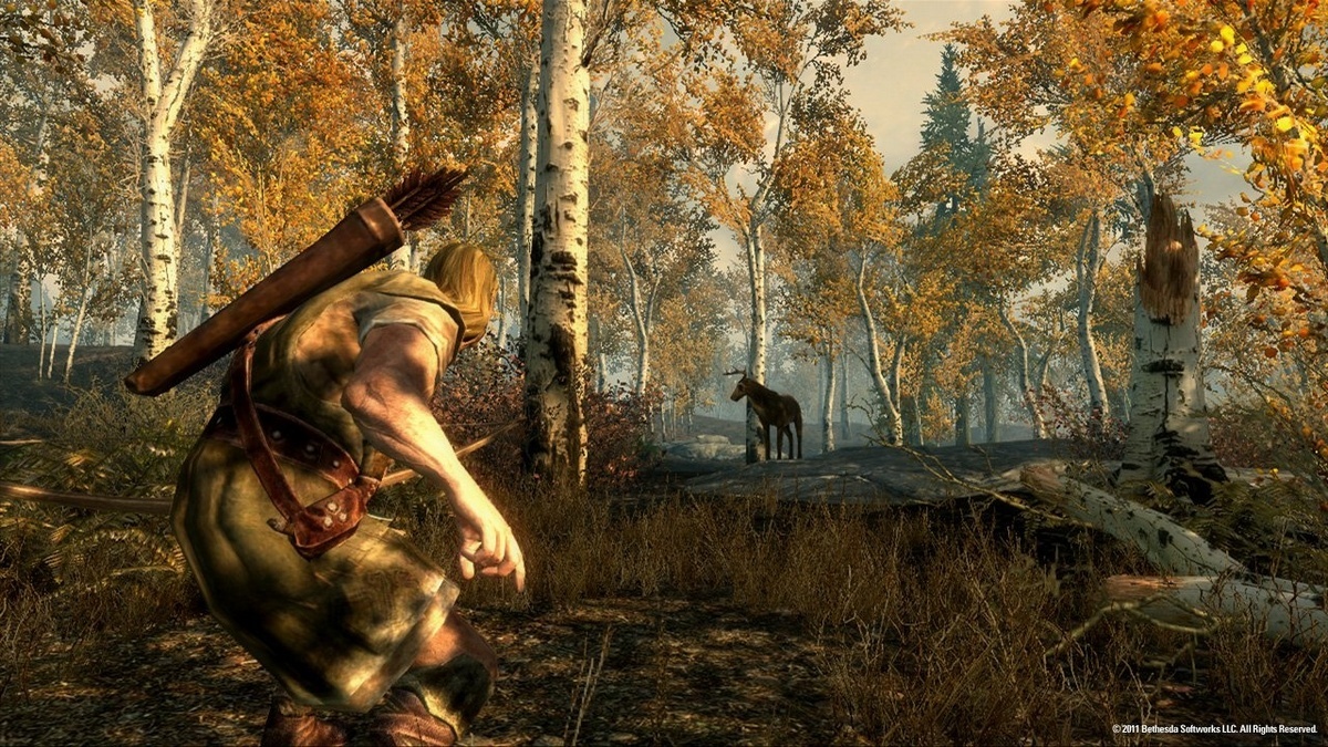 Скриншот из игры The Elder Scrolls V: Skyrim - 19