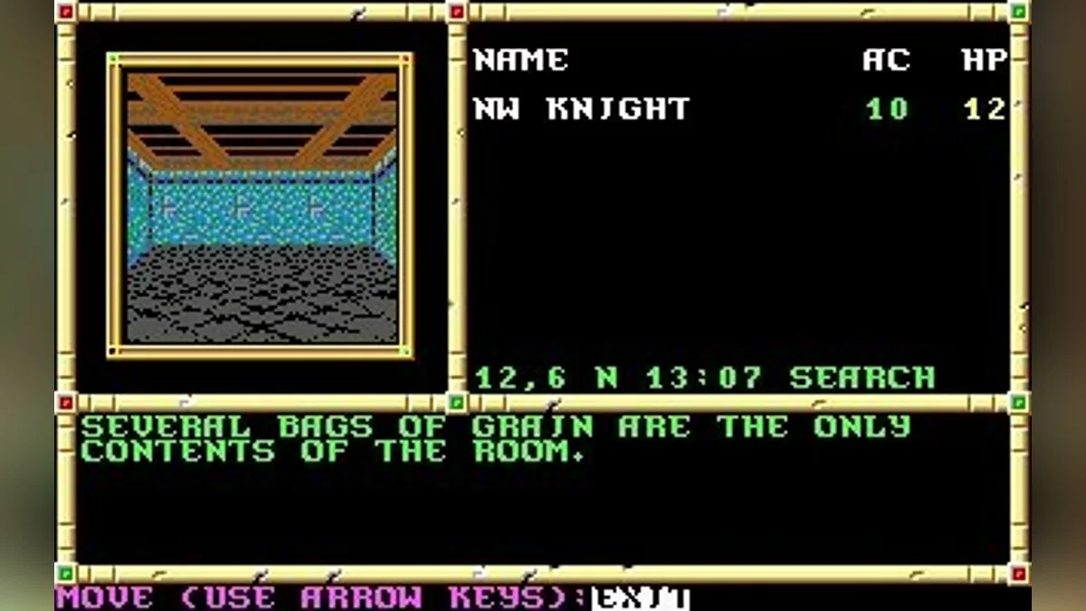 Скриншот из игры Neverwinter Nights (1991) - 16