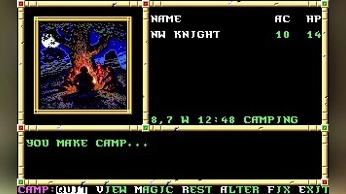 Скриншот из игры Neverwinter Nights (1991) - 14