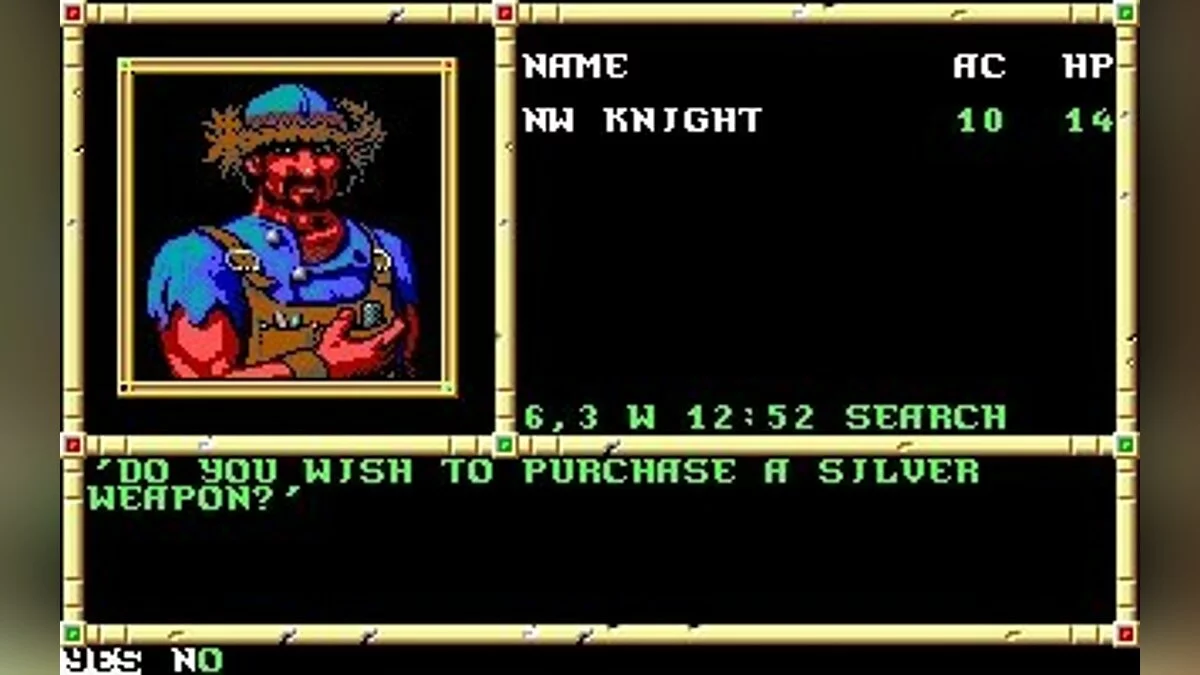 Скриншот из игры Neverwinter Nights (1991) - 2