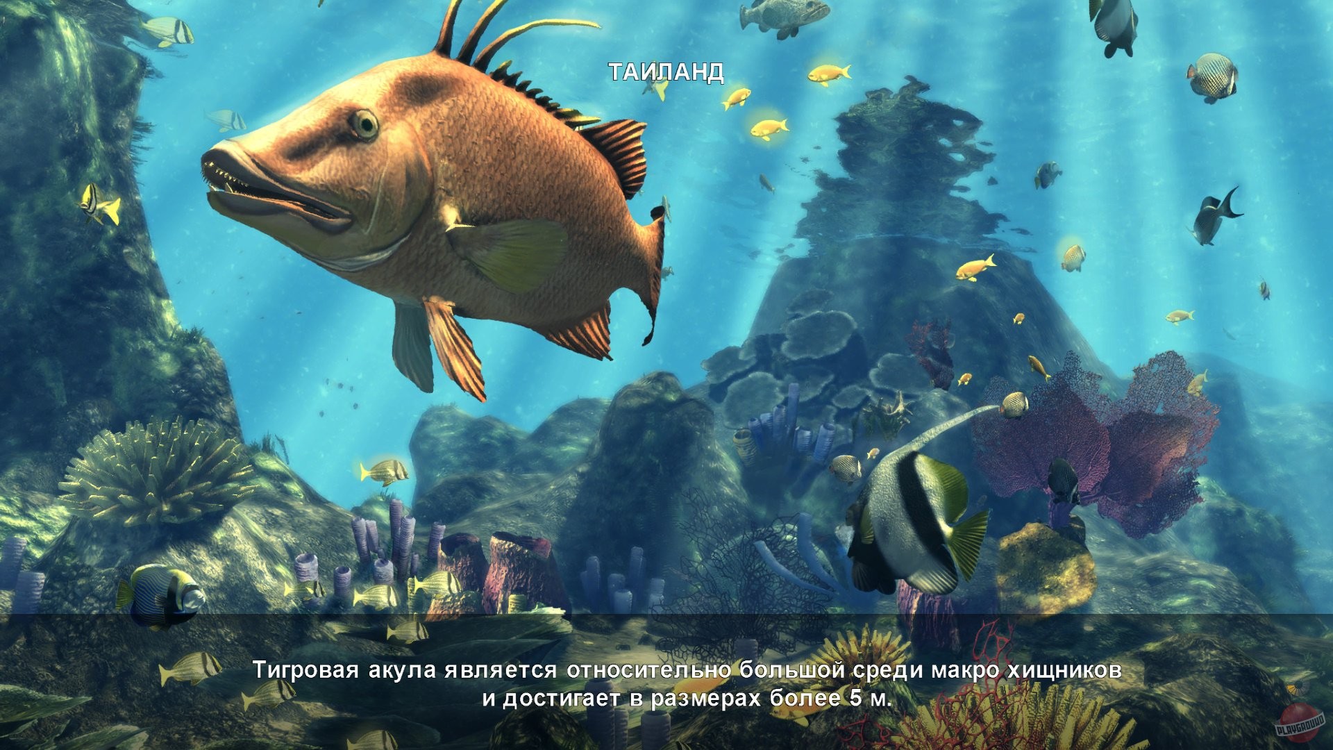 Скриншот из игры Depth Hunter 2: Deep Dive - 30