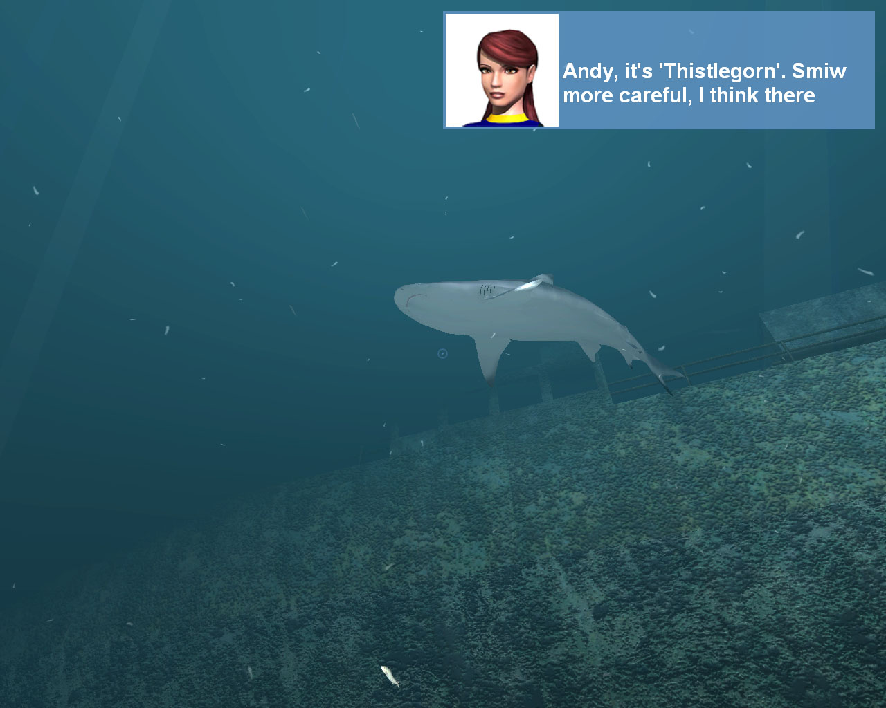 Скриншот из игры Diver: Deep Water Adventures - 29