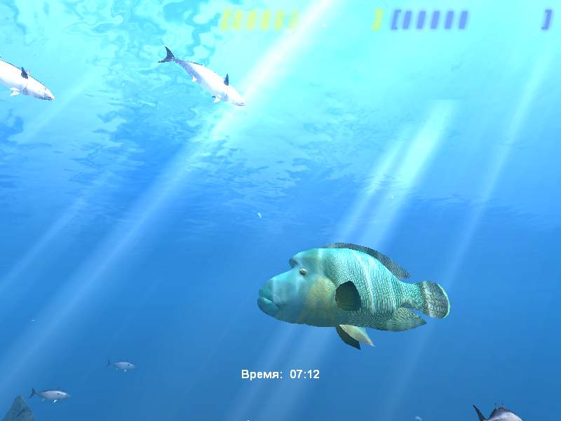 Скриншот из игры Diver: Deep Water Adventures - 24