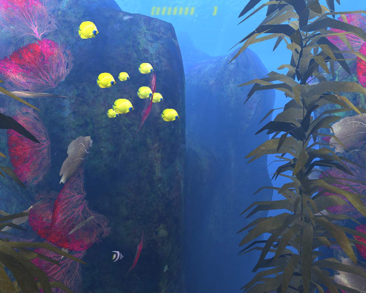 Скриншот из игры Diver: Deep Water Adventures - 125