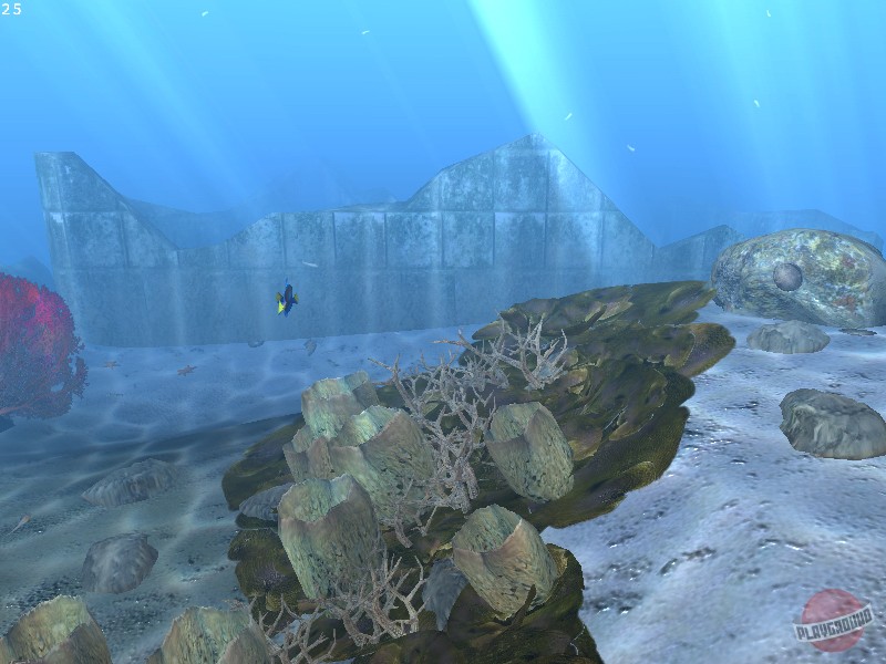 Скриншот из игры Diver: Deep Water Adventures - 22