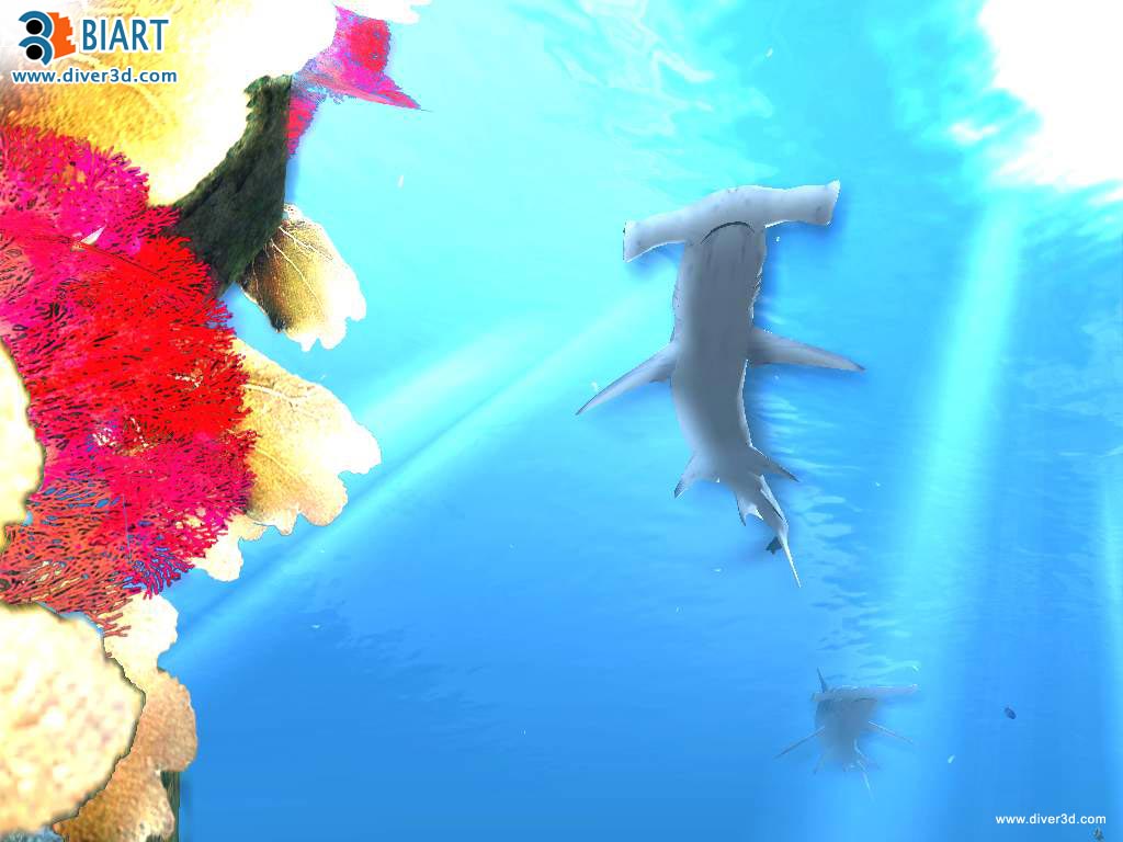 Скриншот из игры Diver: Deep Water Adventures - 138